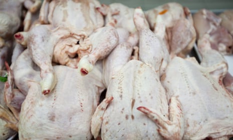Buy Fresh Frozen Turkeys Meat - Global Poultry Co. Ltd