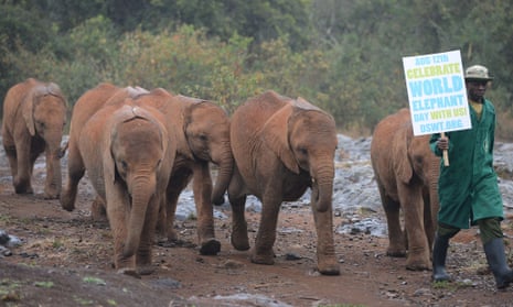 David Attenborough calls on ordinary people to help save Africa’s