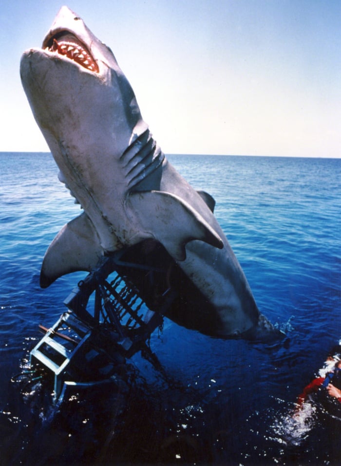 40 years of Spielberg's Jaws – in pictures | Film | The Guardian