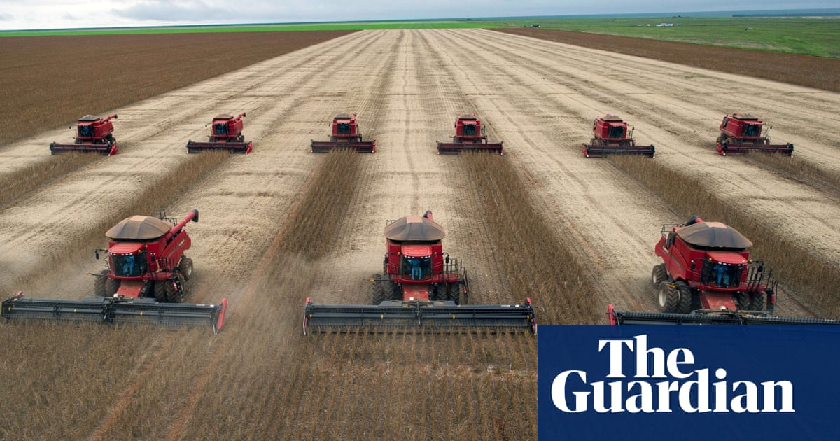 As Adm Aims To End Deforestation In Its Supply Chain Will Soy Become The Next Palm Oil Guardian Sustainable Business The Guardian