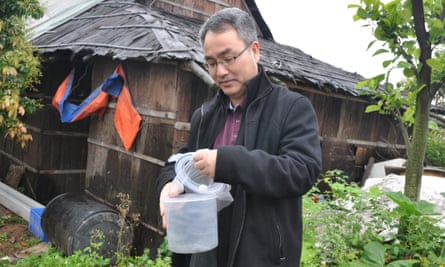 Xi Zhiyong releasing mosquitoes.
