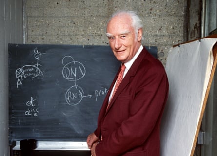 British biophysicist Francis Crick in 1993.