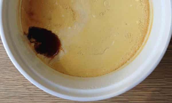 How To Cook The Perfect Creme Caramel Food The Guardian