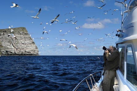 David Tipling photographing gannets off Shetland