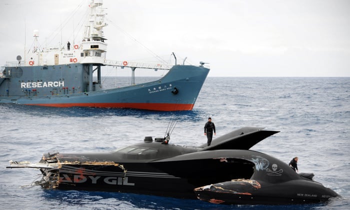Can Sea Shepherd Survive Its Own Success Environment