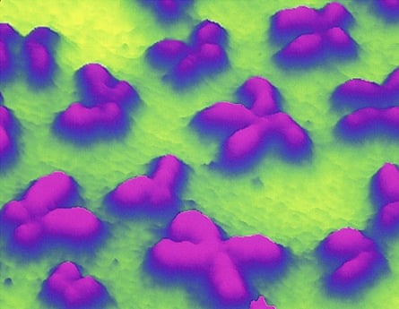 A scanning probe miscroscopic image of human chromosomes.