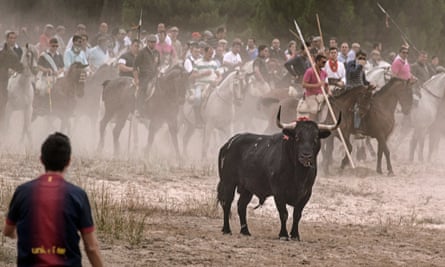 In Tordesillas, Valladolid, Castile and León, a tournament is held September in which hundreds of lancers and riders chase a bull around a closed field until the animal is stabbed to death.