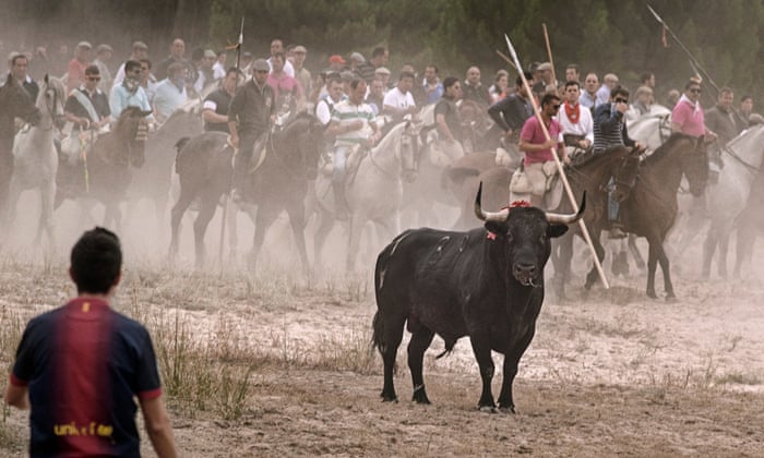 We're a violent nation' – director tackles Spain's festival culture of animal  cruelty | Spain | The Guardian