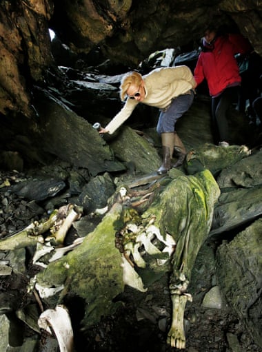 Tilda leads pupils through a coastal cave past a mummified cow