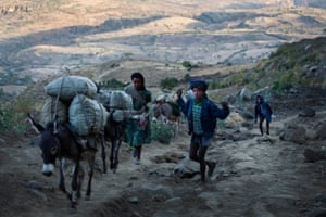 Men walk up a steep road with their donkeys on their way to market near the village of Addis ge keble, near Fiche, Ethiopia Saturday, Feb. 21, 2015. This village is one of hundreds in this Woreda of Gerar Jarso that are inaccessible by cars. When people are ill they have to travel up to twenty kilometers by stretcher that is carried by people to the nearest hospital.
