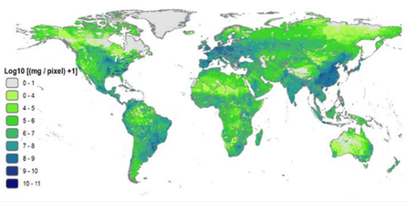Map of global antibiotic use in food-producing animals