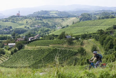 Cycling through a vineyard in the Maribor region of Slovenia.