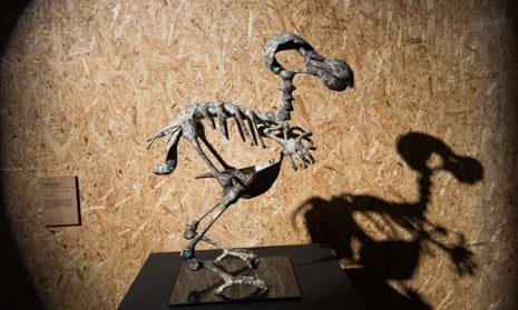 Abigail Fallis’s Dodo - Death Of The Author at an exhibition to mark the 50th anniversary of The IUCN Red List of Threatened Species in London in 2014