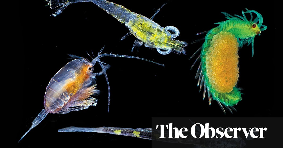 the microscopic magic of