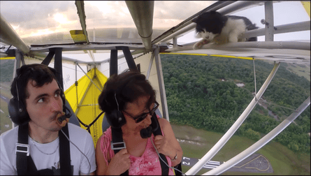 Pilot notices cat for first time