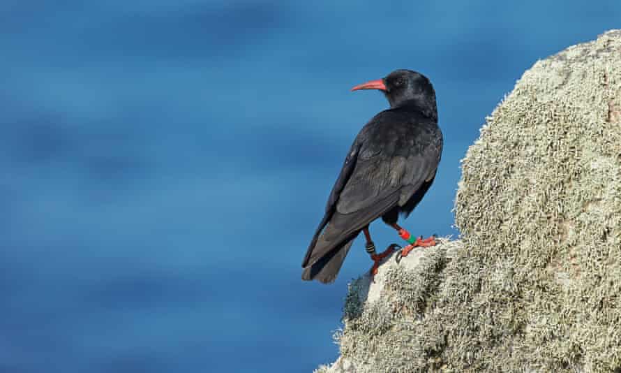 I Can Hear The Sea How The Sounds Of The British Coast Are Being Mapped British Library The Guardian I Can Hear The Sea How The Sounds Of The British Coast Are Being Mapped British Library The Guardian