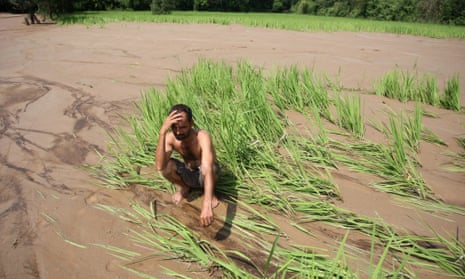 Indian farmer looks at damaged crops