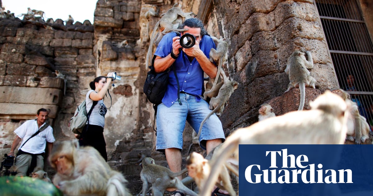 How To Start A … Tour Operator Business | Starting A New Business | The  Guardian