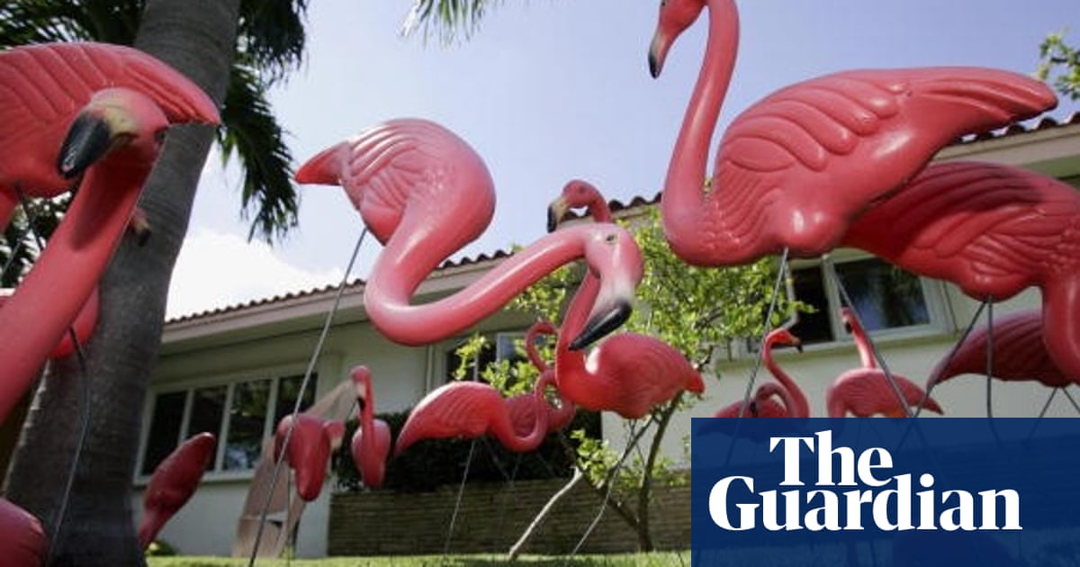 Tropical Elegance In A Box How The Pink Flamingo Became An