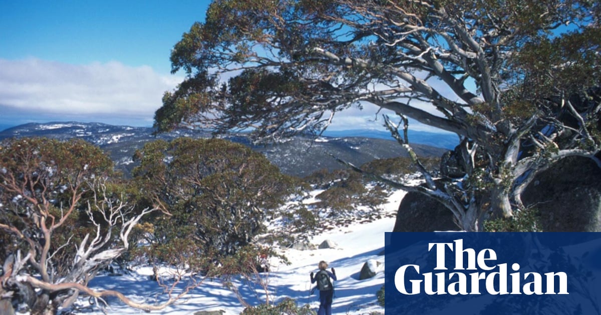 Skiing In Australia On The Cheap How To Save Money On The Slopes Australia Travel Blog The Guardian