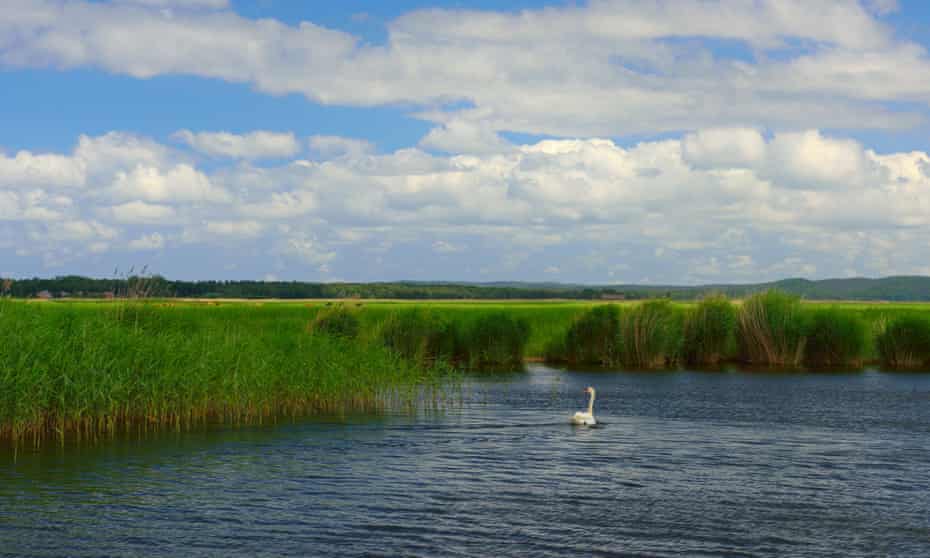 The island is situated south of the village Przytór, in between the river arms Gęsia and Kacza.
