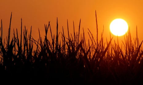 The sun rises in Pleasant Plains, Illinois on July 4, 3012 during a record breaking heat wave.
