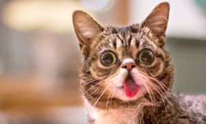 Catcon 2015 Eight Things We Discovered At First Ever Comiccon For