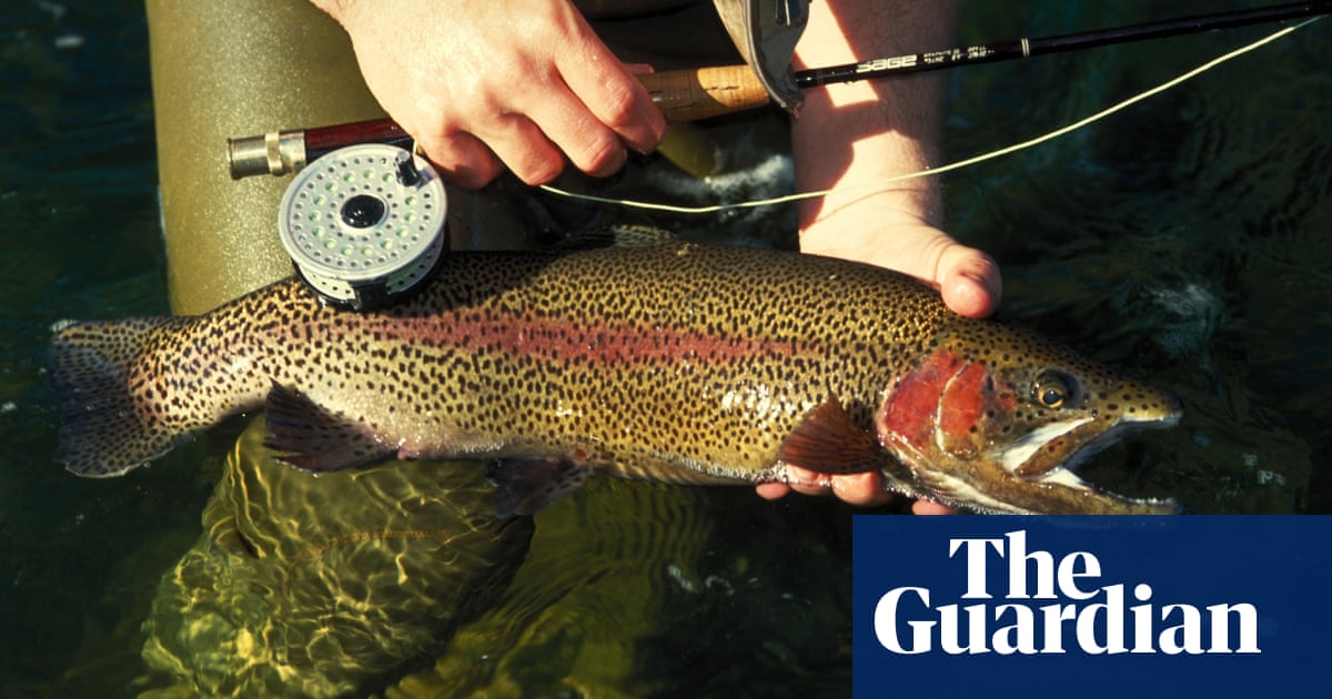 Summer In America The Joys Of Fly Fishing For Trout In Upstate