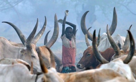 A young girl stands among cattle at a traditional cattle camp at dawn at the town of Nyal, an administrative hub in Unity state, South Sudan in February 2015.