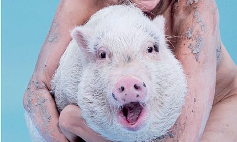 Bubba Sue the pig, cover star of Paper magazine