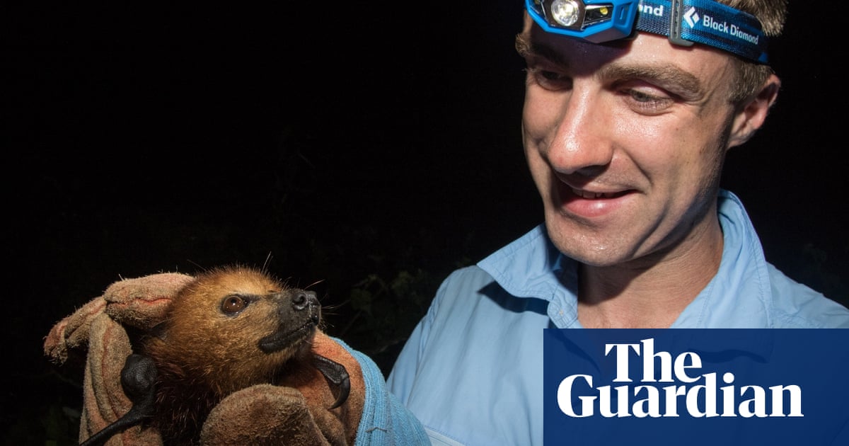 Study a master's and help endangered species | Students | The Guardian