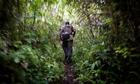 A ranger in Virunga national park, Democratic Republic of the Congo.
