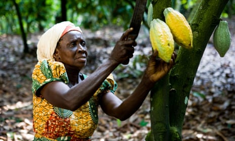 Companies like Hershey’s have committed to using only certified cocoa in their chocolate products. But is that enough to raise the standard of living for cocoa farmers around the world? 