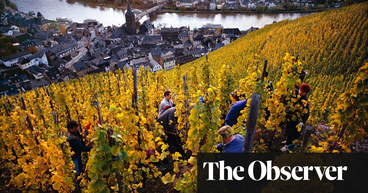 German Riesling Is On The Rise David Williams Food The Guardian