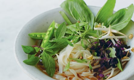 Fragrant herb and star anise pho