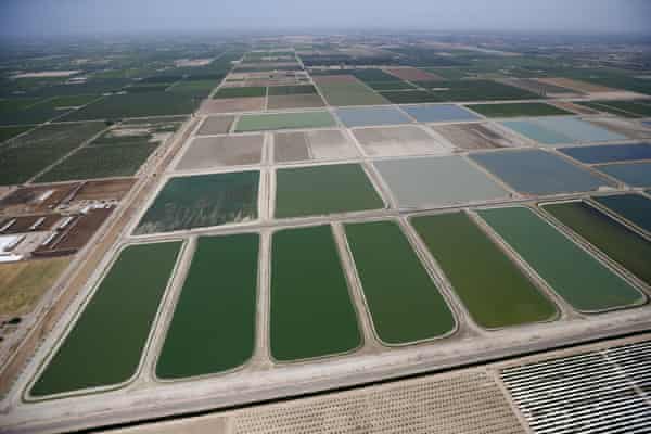 Fresno-Clovis Regional Wastewater Treatment Facility is seen next to farm fields in Fresno, California, United States.