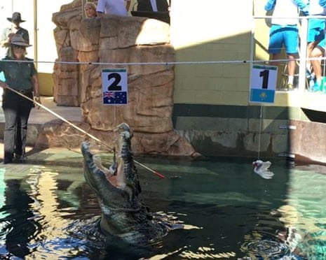 burt the croc