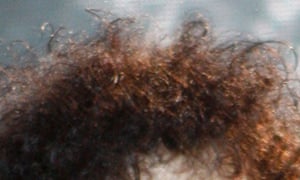 If You Re Short What Do You See At A Gig The Top Of Brian May S