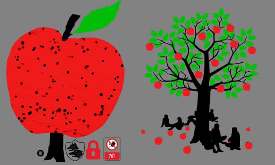 Post-capitalism apple trees. Illustration by Joe Magee