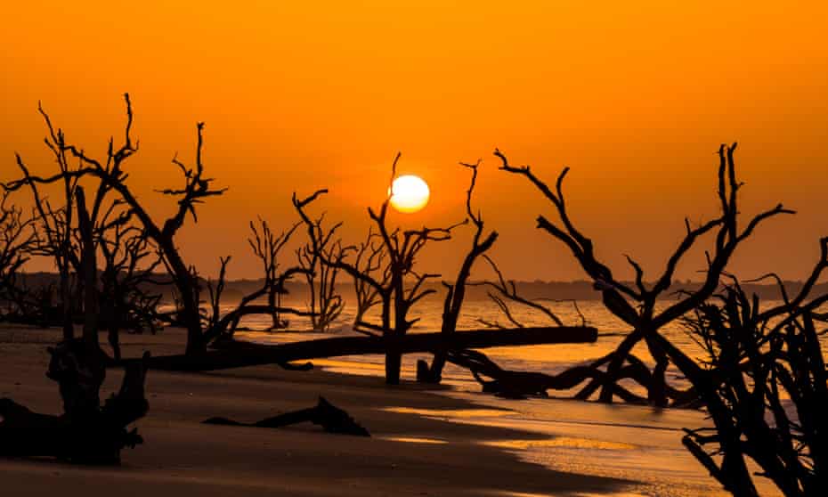 Sunrise over Boneyard Beach at Botany Bay Plantation July 11, 2014 in Edisto Island, South Carolina. Each year 144,000 cubic yards of sand is washed away with the waves at the beach and nearshore eroding the coastal forest along the beachfront.