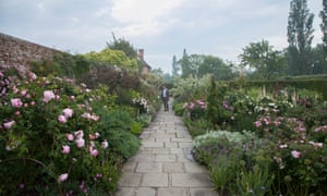 Dan in the Rose Garden.