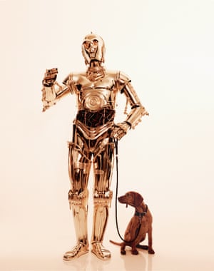 With his high-shine style, C-3P0 shows that the only accessory he needs is a dog.