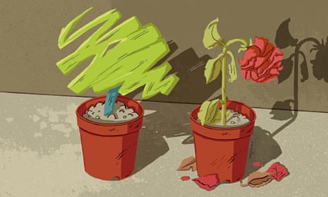 Wiltling labour rose illustration by Eva Bee