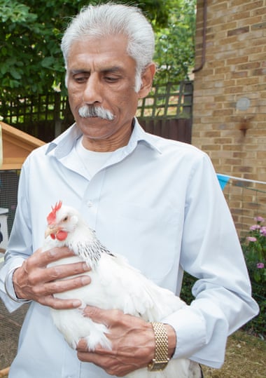 Elmgrove House resident Ashok Patel has proved 'a natural': 'I like the hens and the hens like me,' he says.