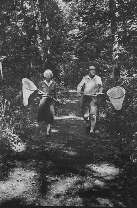Vladimir Nabokov and his wife Vera chasing butterflies, September 1958.