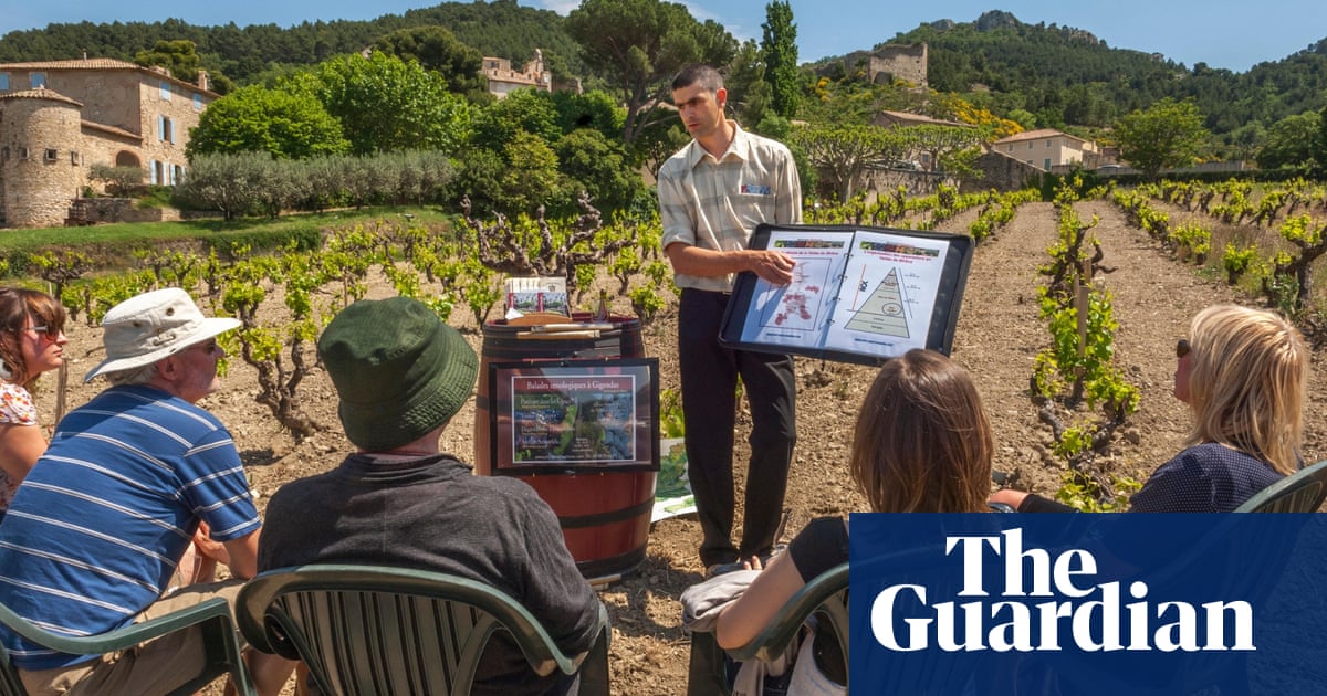 Wine Jobs An Overview Of Careers In Wine Wine Folly