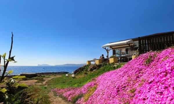 Favourite Restaurants In Sardinia Readers Travel Tips Travel