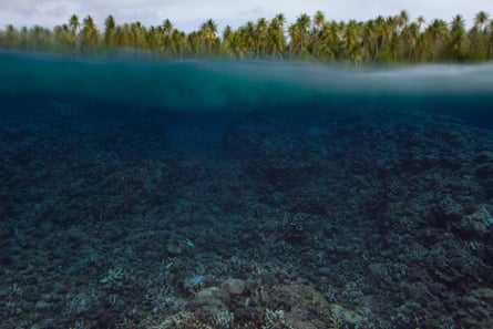 The Guardian found massive coral bleaching across atolls in the Marshall Islands in December 2014. After a brief cool period, reports now indicate the return of dangerously warm temperatures.