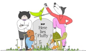Illustration Of Pets Illustration Of Pets