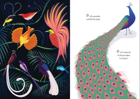 Sensational … Emmanuelle Walker’s illustrations for Beautiful Birds